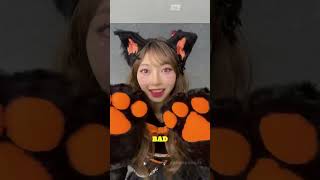 Black Cats Are Lucky in Japan… But Not Where I'm From #shorts #roamrumors