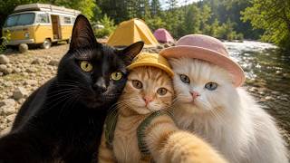 Jiji the Black Cat – July Highlights