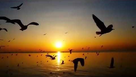 Uday Vatika, Pratap Nagar, Tonk Road, Jaipur | Plots Near Pratap Nagar|#jaipur#ytviral #ytvideo