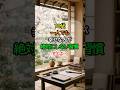 🌸 70代、一人でも幸せな人が絶対にしない習慣 TOP3 ✨