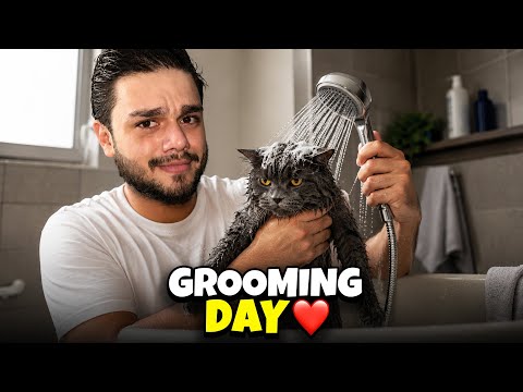 Family Mai Aye 2 Anmol Ratan🥹| IBLEES KO GHUSAL DILWA DIYA😂😂| Aadi Vlog