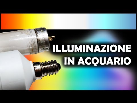 Video: Quali lunghezze d'onda della luce vengono emesse dalle lampadine fluorescenti?