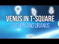 Venus in T-square with Saturn and Uranus