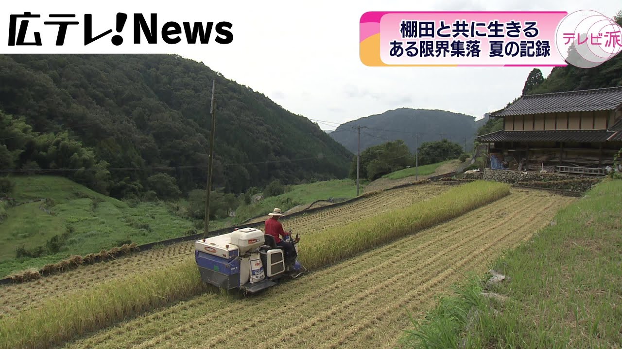 【限界集落】棚田と共に生きる　夏の記録　広島・安芸太田町