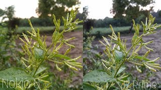 Nokia 6 Vs Galaxy J7 Prime Camera Test