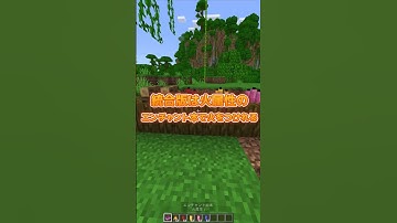 意外と知らない！？統合版とJava版の違い3選！【マインクラフト】 #shorts