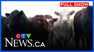 Trump threatens new tariffs | CTV News Calgary at Six for July 11, 2025