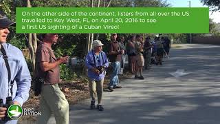 Bird Nation -  Keeping A Bird Life List