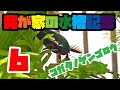 【我が家の水槽記録】#6 コガタノゲンゴロウがやってきた！