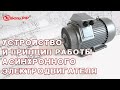 Устройство асинхронного электродвигателя