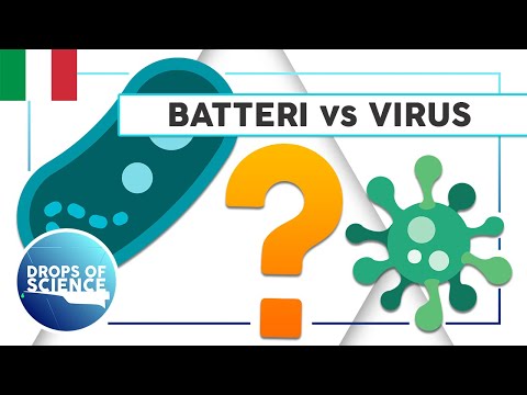 Video: Tracciare La Diversità Dei Virus Non Coltivati di Archaea E Bacteria