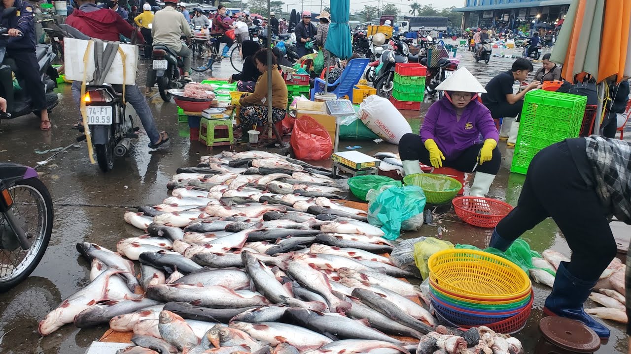 Chợ đầu mối bình điền sáng 25 tết mưa bão nữa cá bè trang 20k cá mè 30k cá biển 35k 