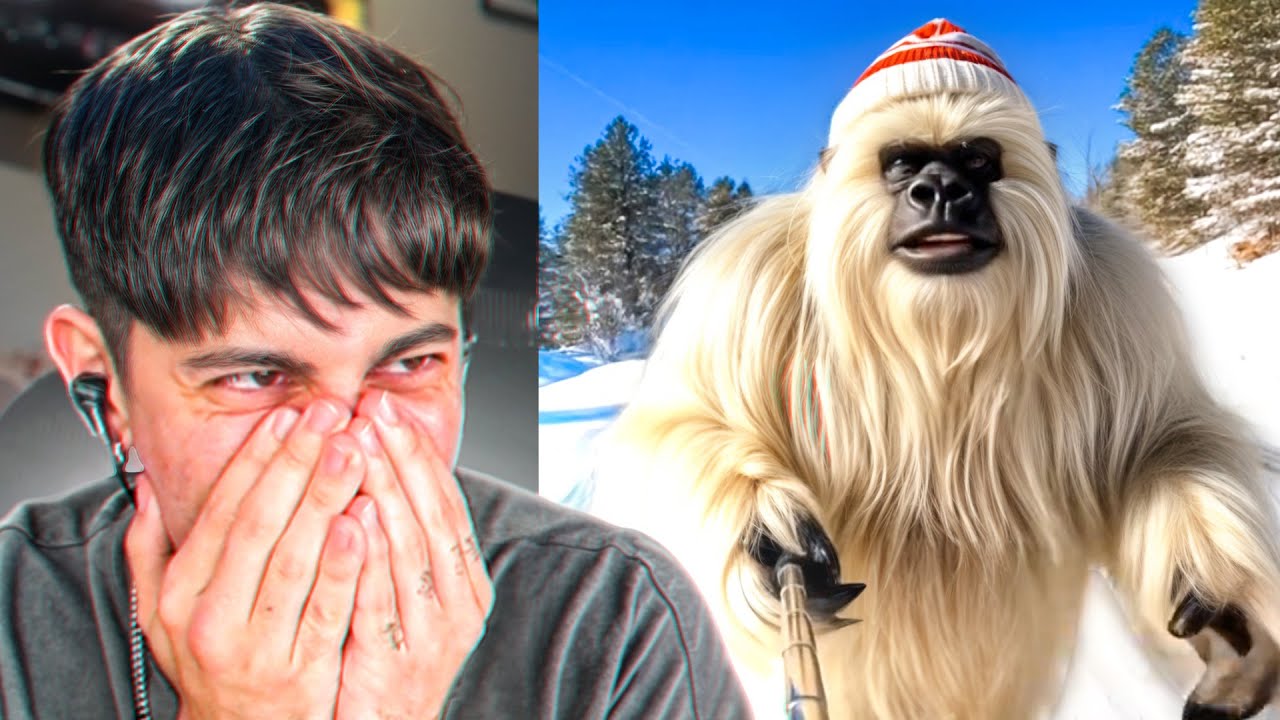 los REELS más graciosos que encontré 🤣