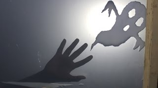 Ghost caught on CCTV camera | Gujarati News | Piplapur live | Bhoot screenshot 5