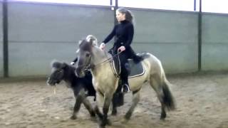 Petite Soeur - Spectacle Du Galossy - Janvier 2017