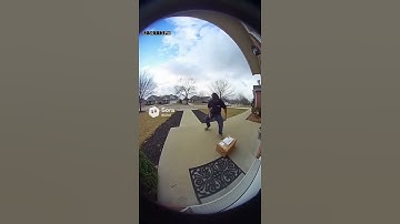 Watch This Delivery Turn Into a Funny Surprise! 😂🚚