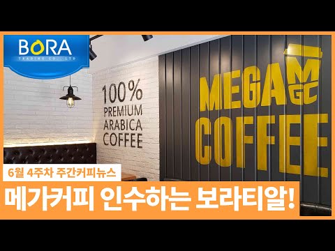 / 6월 4주 주간커피뉴스, <strong>커피TV</strong>
