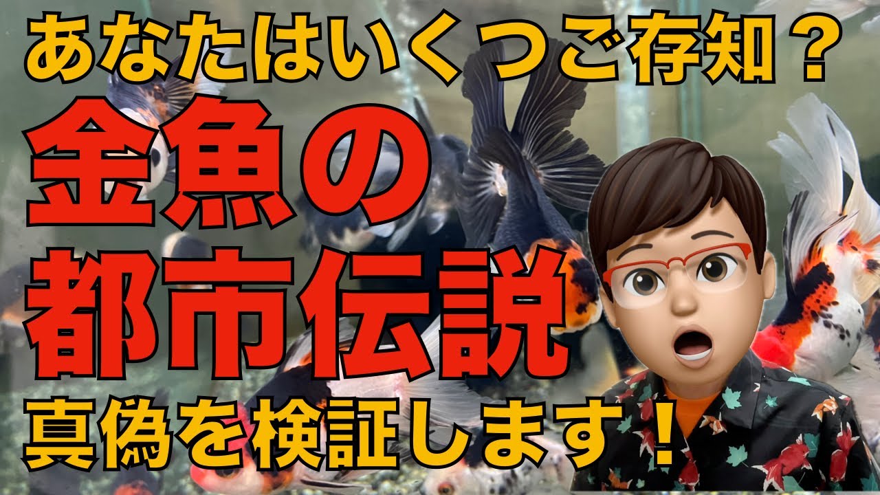 水槽をいつもキレイに！ 偽物には注意！ 水槽をいつもキレイに！ 偽物