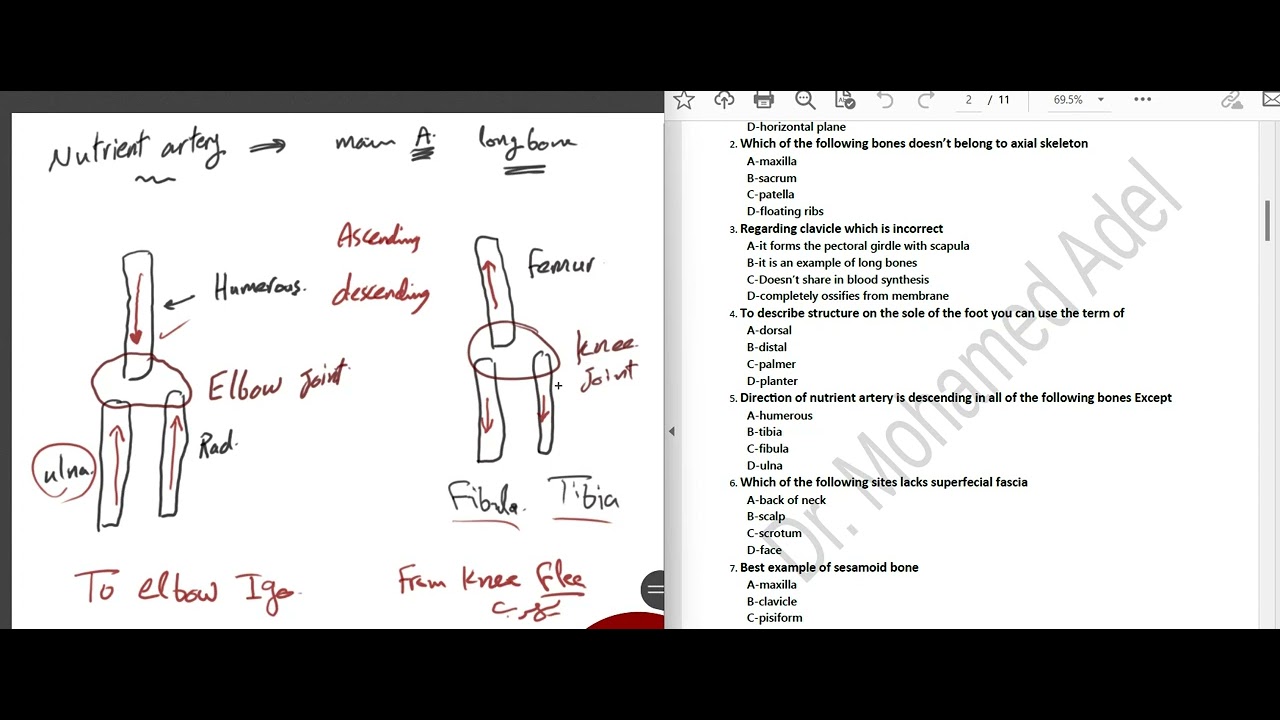 اناتومي..دكتور محمد عادل …فيديو حل اسئله McQ 1 ——1st Y