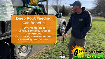 Deep Root Feeding - Tree Fertilization for Your Landscape
