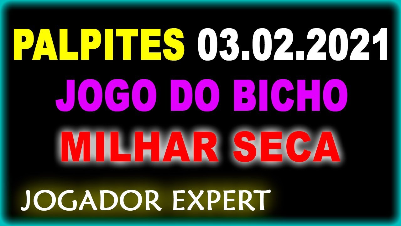 dicas bet palpites hoje