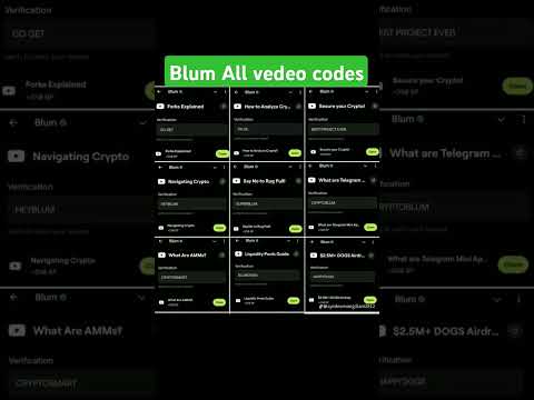 ✅Blum All Verify