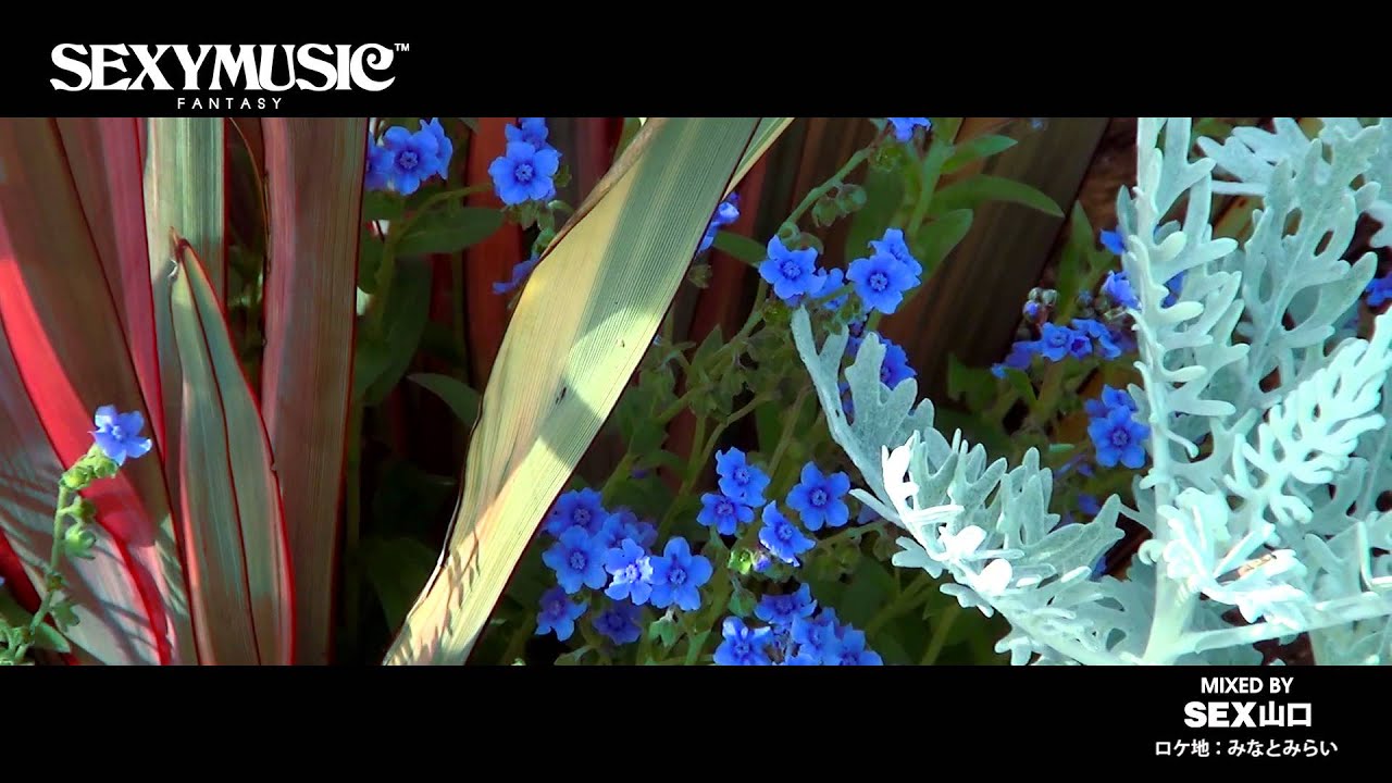 インタビュー】 SEX山口 『SEXY MUSIC ～FANTASY～』｜HMV&BOOKS