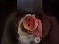 ¡Convirtiendo la simple madera en alegría navideña!