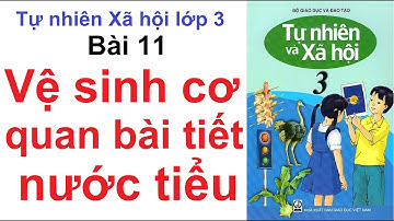 Tự Nhiên Xã Hội Lớp 3 Bài 11 - Vệ sinh cơ quan bài tiết nước tiểu - Trang 24, 25
