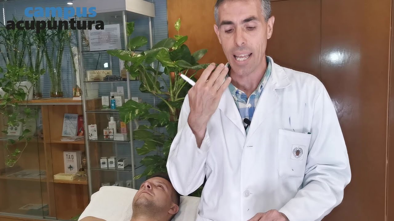 Punto x punto: Meridiano de Pulmón - Prof. Raúl Ucieza | Campus Acupuntura