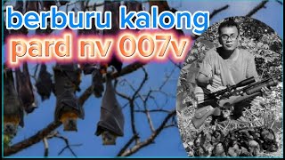 berburu kalong  !!  berburu kalong malam hari pakai nv pard 007v#opiburu