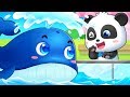 Animal Show | Baby Shark, Baby Care, T- Rex | Animal Songs | Kids Songs | Nursery Rhymes | BabyBus