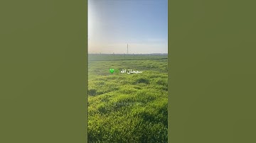 سبحان الله 🌿الحمدلله 🌿لا اله الا الله 🌿 #islam #تلاوة_خاشعة #قرآن #عبدالرحمن_مسعد