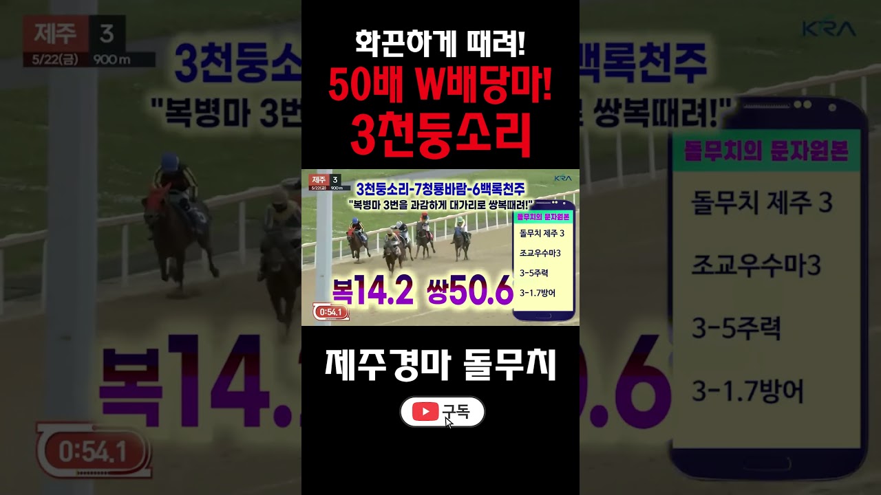 배당마 대가리 놓고 50배!! 역시 제주경마는 돌무치!!