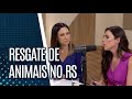 Os desafios do resgate de animais no Rio Grande do Sul