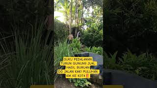 Download Lagu ❗SUKU PED4L4M4N MP3