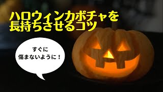 【ハロウィンカボチャ】を長持ちさせるコツ🎃　ジャックオーランタンを作ったら、やってみて！