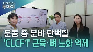 운동 중 분비되는 단백질 'CLCF1'…근육·뼈 노화 억제 / YTN 사이언스