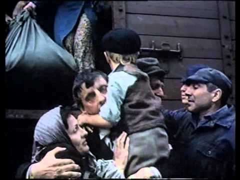 Escape From Sobibor 1987 STV TRUEFRENCH DVDRiP XViD AC3 THEWARRIOR777
