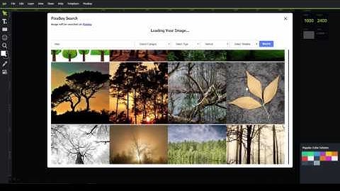 Designo Pro Walk Through Training