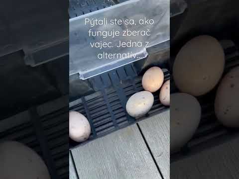 Video: Ako funguje hranol?