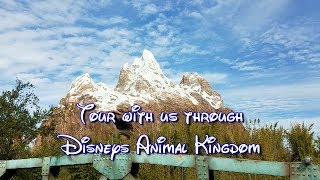 Tour of DISNEYS ANIMAL KINGDOM Pandora Africa UP Everest etc