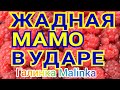 Самвел Адамян /Жадная МаМО в ударе /Дары Киевлян/Обзор Влогов /