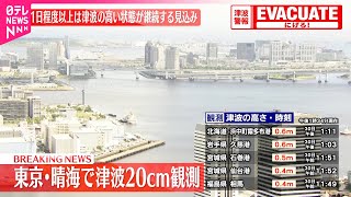 【速報】東京・晴海で20センチの津波を観測