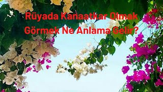 Rüyada Kanaatkar Olmak Görmek Ne Anlama Gelir?