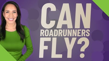 Can Roadrunners fly?