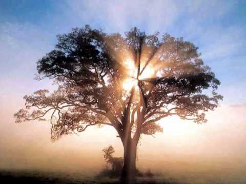 DieRadioDie - Life Is Beautiful