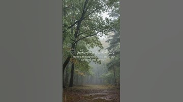 #اكسبلور #قران_كريم #تلاوة_خاشعة