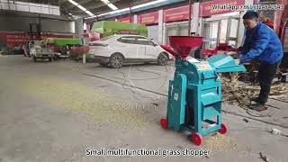 Small Multifunctional Grass Chopper in Action – Compact and Efficient for Modern Farming! screenshot 4