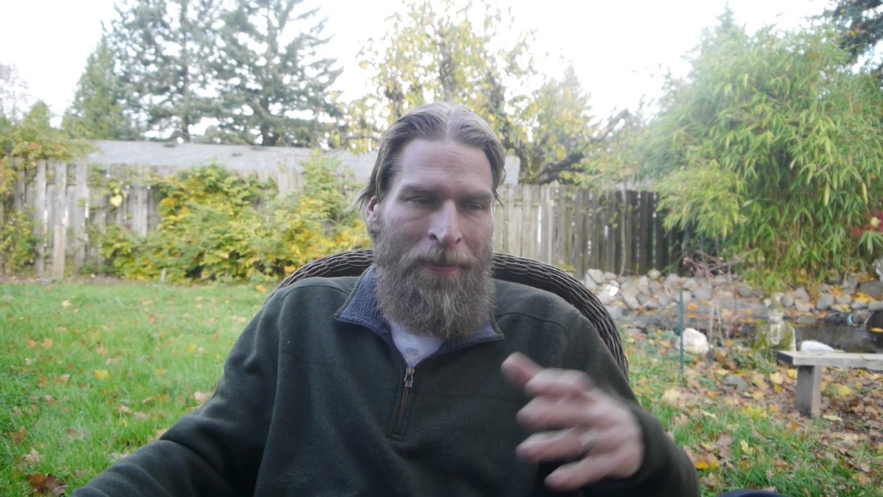 Totem Animal Today: Falcon